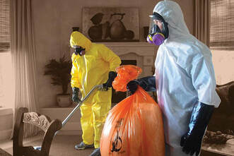 Hoarder Cleaning and Trash Cleanup